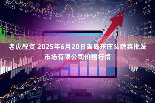 老虎配资 2025年6月20日青岛东庄头蔬菜批发市场有限公司价格行情
