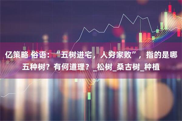 亿策略 俗语：“五树进宅，人穷家败”，指的是哪五种树？有何道理？_松树_桑古树_种植
