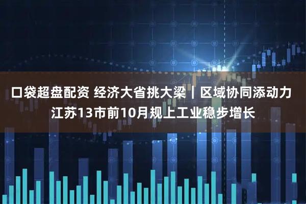口袋超盘配资 经济大省挑大梁｜区域协同添动力 江苏13市前10月规上工业稳步增长