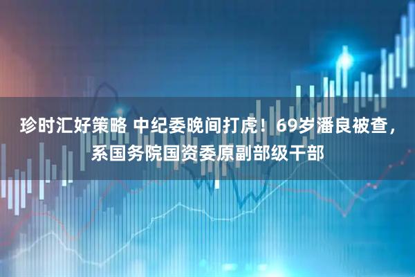 珍时汇好策略 中纪委晚间打虎！69岁潘良被查，系国务院国资委原副部级干部